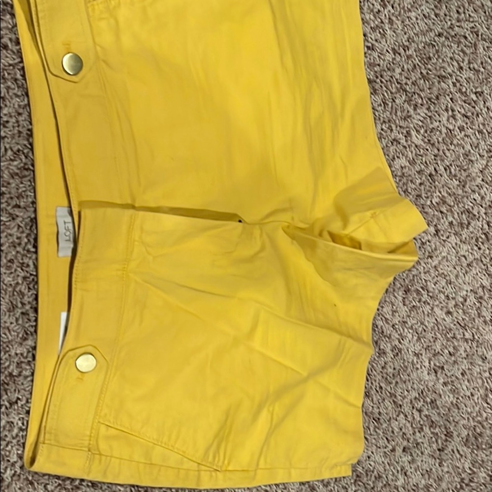 Loft shorts
